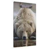 USA, Alaska, Katmai National Park, Brown Beer Klembord (Rechts)