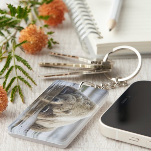 USA, Alaska, Katmai National Park, Brown Beer Sleutelhanger (Voorkant Rechts)