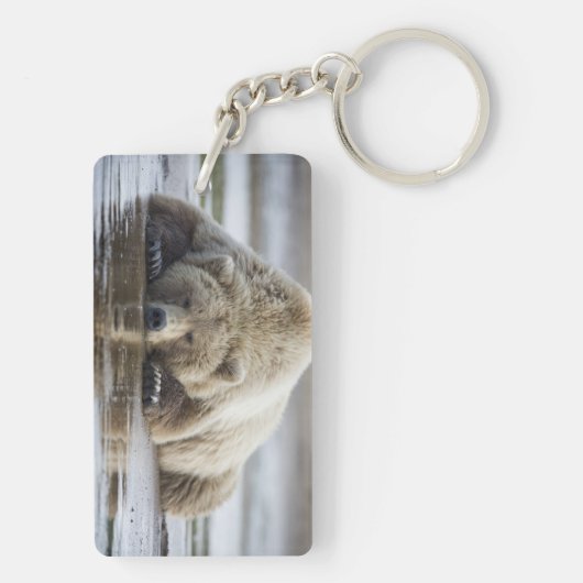 USA, Alaska, Katmai National Park, Brown Beer Sleutelhanger (achterkant)