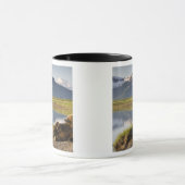 USA, Alaska, Katmai National Park, Brown Beren Mok (Midden)