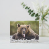 USA, Alaska, Katmai National Park, Kukak Bay Briefkaart (Staand voorkant)