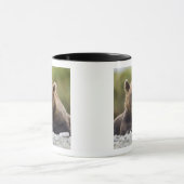 USA, Alaska, Katmai National Park, Kukak Bay Mok (Midden)