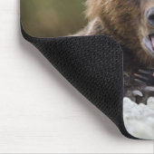 USA, Alaska, Katmai National Park, Kukak Bay Muismat (Hoek)