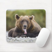 USA, Alaska, Katmai National Park, Kukak Bay Muismat (Met muis)