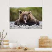 USA, Alaska, Katmai National Park, Kukak Bay Poster (Keuken)