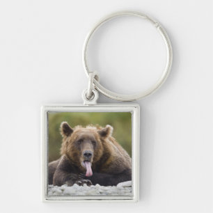 USA, Alaska, Katmai National Park, Kukak Bay Sleutelhanger