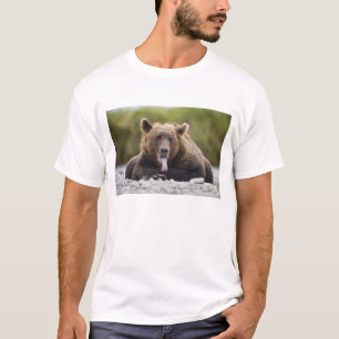 USA, Alaska, Katmai National Park, Kukak Bay T-shirt