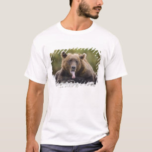 USA, Alaska, Katmai National Park, Kukak Bay T-shirt