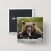 USA, Alaska, Katmai National Park, Kukak Bay Vierkante Button 5,1 Cm (Voorkant /achterkant)
