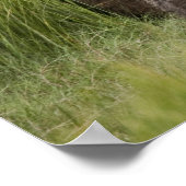 USA, Alaska, Lake Clark National Park. Grizzly Poster (Hoek)