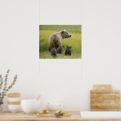 USA, Alaska, Lake Clark National Park. Grizzly Poster (Keuken)