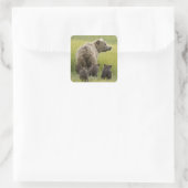USA, Alaska, Lake Clark National Park. Grizzly Vierkante Sticker (Tas)