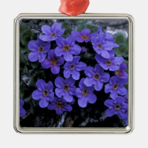 USA, Alaska National Wildlife Refuge (ANWR). Metalen Ornament