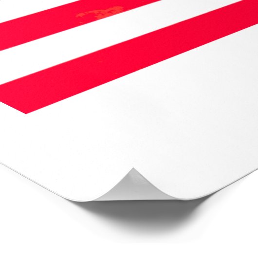 USA Amerikaanse Vlag Waarde Posters Papier Matte (Hoek)