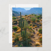 USA, Arizona. Desert View Briefkaart (Voorkant / Achterkant)