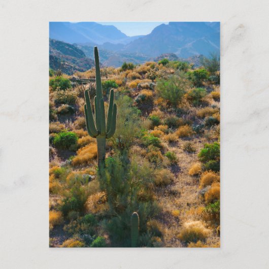 USA, Arizona. Desert View Briefkaart (Voorkant)