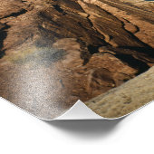 USA, Arizona, Grand Canyon National Park Foto Afdruk (Hoek)