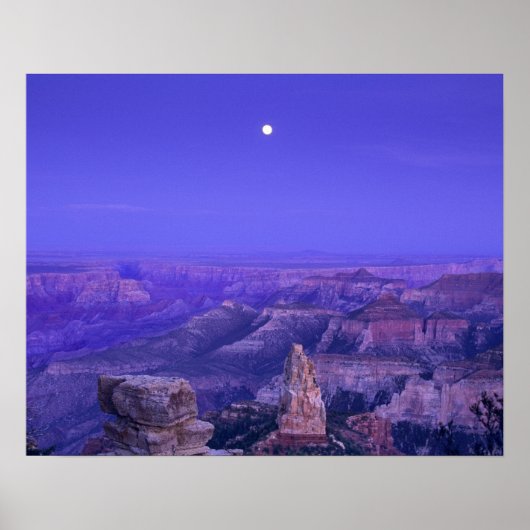 USA, Arizona, Grand Canyon National Park. Poster (Voorkant)