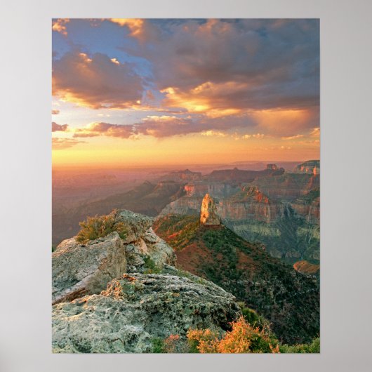 USA, Arizona, Grand Canyon National Park. Punt Poster (Voorkant)