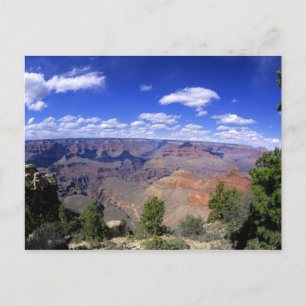 USA, Arizona, Grand Canyon National Park, South Briefkaart