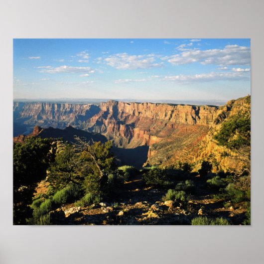 USA, Arizona, Grand Canyon National Park, Uitzicht Poster (Voorkant)