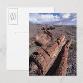 USA, Arizona, Petrified Forest National Park, 2 Briefkaart (Voorkant / Achterkant)