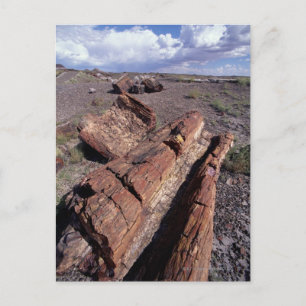 USA, Arizona, Petrified Forest National Park, 2 Briefkaart