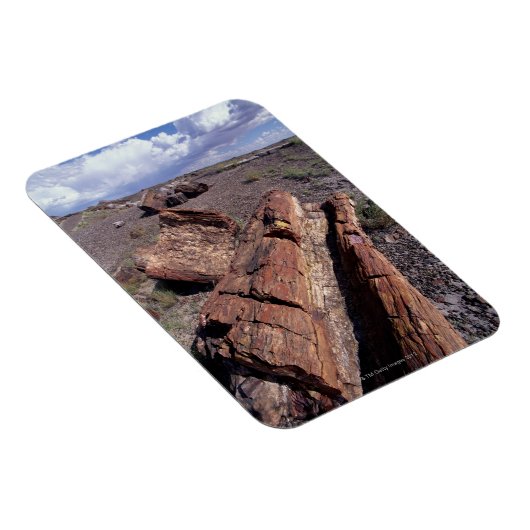 USA, Arizona, Petrified Forest National Park, 2 Magneet (Rechterzijde)