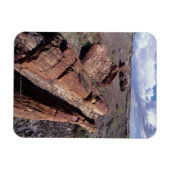 USA, Arizona, Petrified Forest National Park, 2 Magneet (Horizontaal)