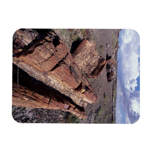 USA, Arizona, Petrified Forest National Park, 2 Magneet (Horizontaal)