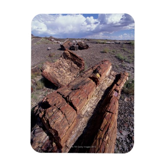 USA, Arizona, Petrified Forest National Park, 2 Magneet (Verticaal)