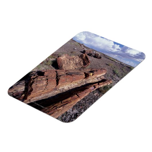 USA, Arizona, Petrified Forest National Park, 2 Magneet (Linkerzijde)