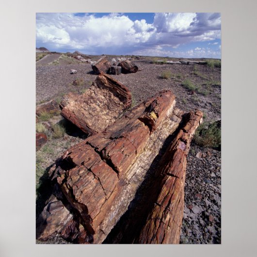 USA, Arizona, Petrified Forest National Park, 2 Poster (Voorkant)