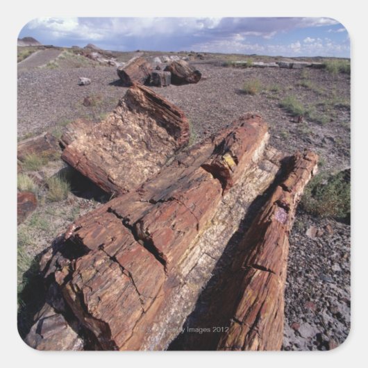 USA, Arizona, Petrified Forest National Park, 2 Vierkante Sticker (Voorkant)