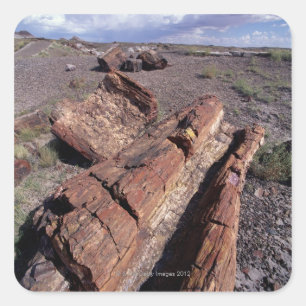USA, Arizona, Petrified Forest National Park, 2 Vierkante Sticker