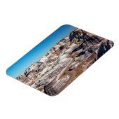 USA, Arizona, Petrified Forest National Park Magneet (Linkerzijde)