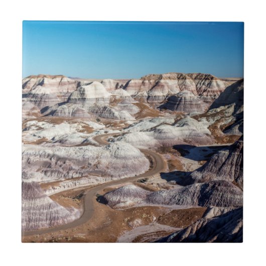 USA, Arizona, Petrified Forest National Park Tegeltje (Voorkant)