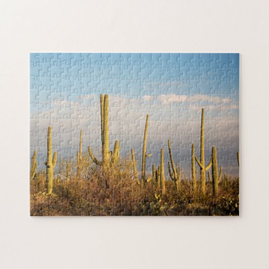 USA, Arizona, Saguaro National Park, Saguaro Legpuzzel (Horizontaal)