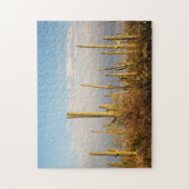 USA, Arizona, Saguaro National Park, Saguaro Legpuzzel (Verticaal)