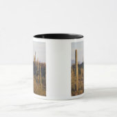 USA, Arizona, Sonoran Desert, Ajo, Ajo 2 Mok (Midden)