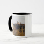 USA, Arizona, Sonoran Desert, Ajo, Ajo 2 Mok (Voorkant links)