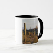 USA, Arizona, Sonoran Desert, Ajo, Ajo 2 Mok (Voorkant rechts)