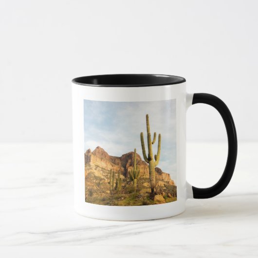 USA, Arizona, Tonto National Forest, Picketpost 2 Mok (Rechts)