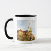 USA, Arizona, Tonto National Forest, Picketpost 2 Mok (Links)