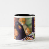 USA, Arizona, Tubac: Premier 4 van Zuid-Arizona Tweekleurige Koffiemok (Center)