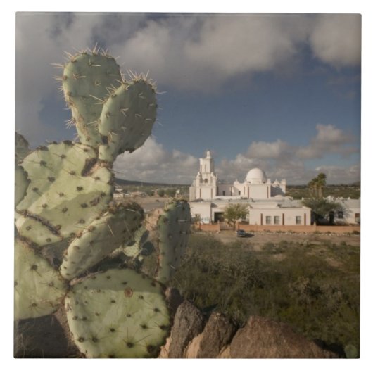 USA, Arizona, Tucson: Mission San Xavier del Bac 2 Tegeltje (Voorkant)