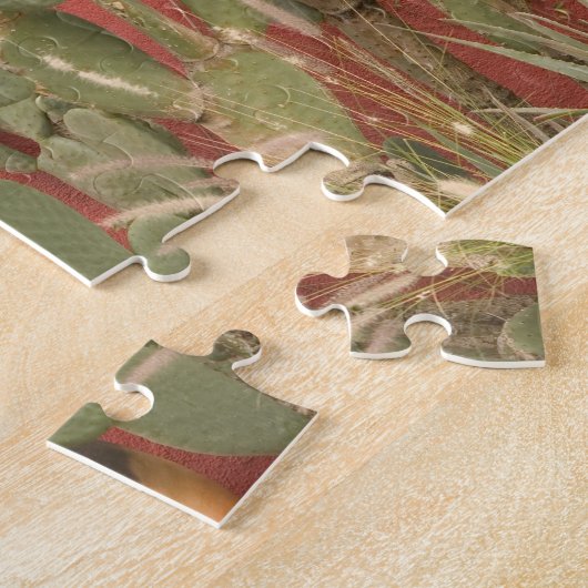 USA, Arizona, Tucson: Presidio Historic District 2 Legpuzzel (Zijkant)