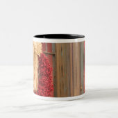 USA, Arizona, Tucson: Presidio Historic District Tweekleurige Koffiemok (Center)