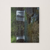 USA, Arkansas, Ozark- St Francis National Legpuzzel (Verticaal)