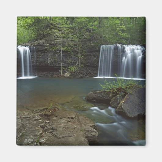 USA, Arkansas, Ozark- St Francis National Magneet (Voorkant)